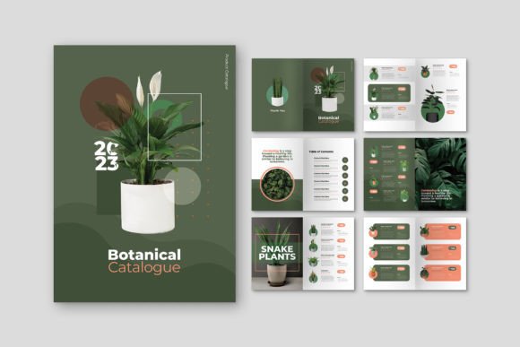 Elevate Your Projects with the Catalog Plant Product Template