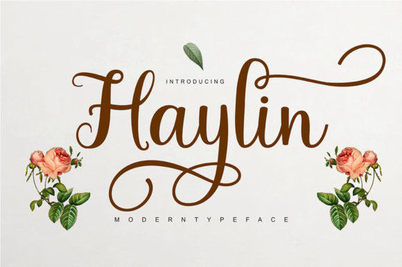 Haylin Script: A Fresh Take on Elegant Script Fonts