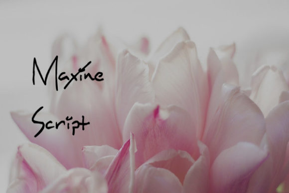Maxine Script: The Elegant, Modern Font for Creative Projects