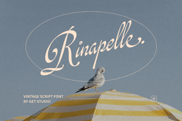 Rinapelle Script: A Vintage Font for Modern Design
